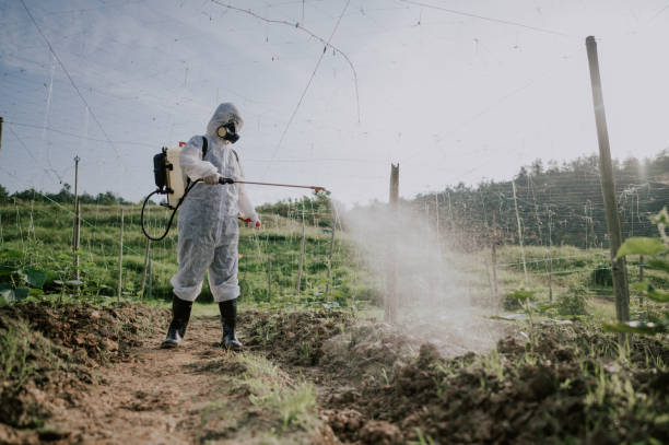 Best Ant Control Services  in Woodburn, IN